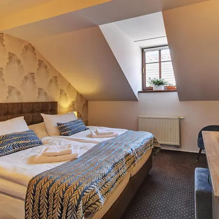 Hotel Alexander Stribro