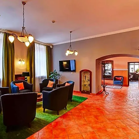 מלון Alexander Stříbro