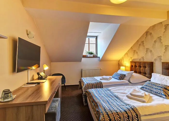 Alexander 4* Stříbro